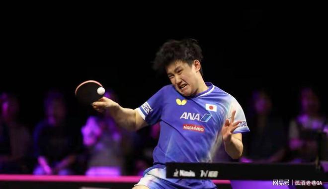 波兰队横扫瑞典队,张本智和刷新纪录 波兰队横扫瑞典队,张本智和刷新纪录
